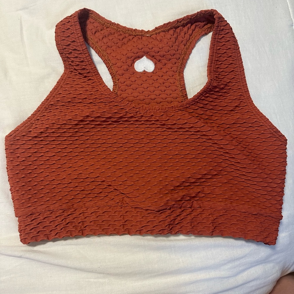 Croco skin sports bra